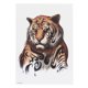 thumbnail image 1 of Etiqueta engomada del tatuaje temporal del patrón animal hombres etiqueta engomada del tatuaje impermeable accesorioHB‑898, 1 of 8