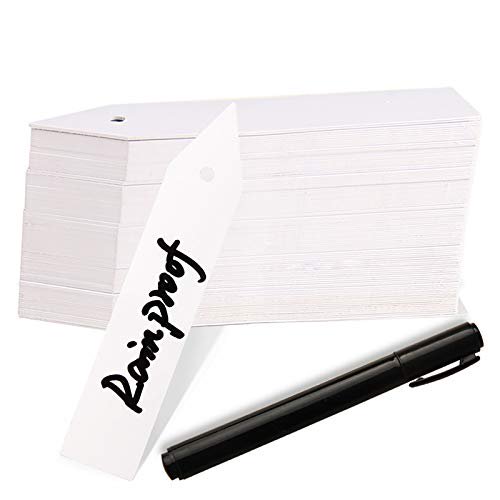 Étiquettes pour Plantes, ZOUTOG 1000 Pcs Étiquettes en Plastique pour Plantes 4 Pouces pour Jardiniers avec Stylo
