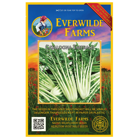 - Everwilde Farms - 1000 Catalogna Emerald Endive Seeds - Gold Vault Jumbo Bulk Seed Packet
