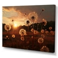 thumbnail image 2 of Designart "Sunset Dandelion landscape I" Floral Wall Art Print, 2 of 5