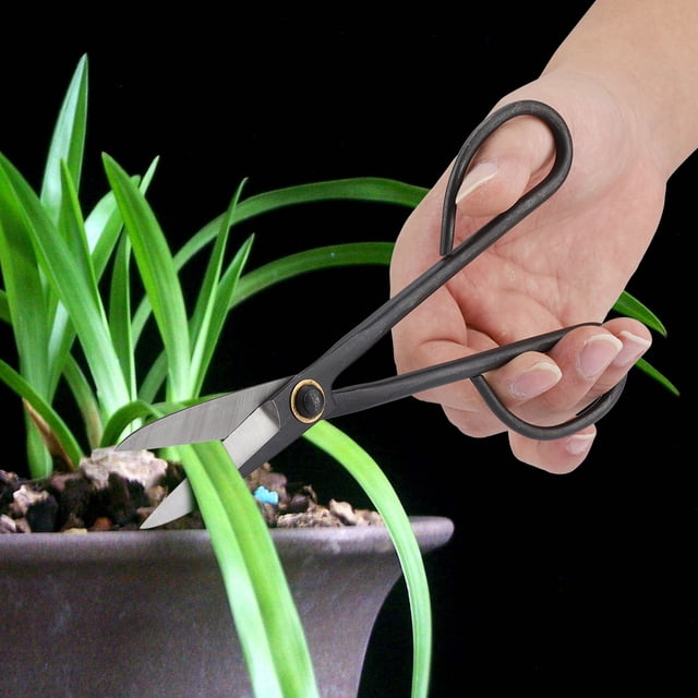 Tijera De Podar Tijeras Para Bonsái De Mango Largo De 205 Mm Tijeras Para Cortar Brotes