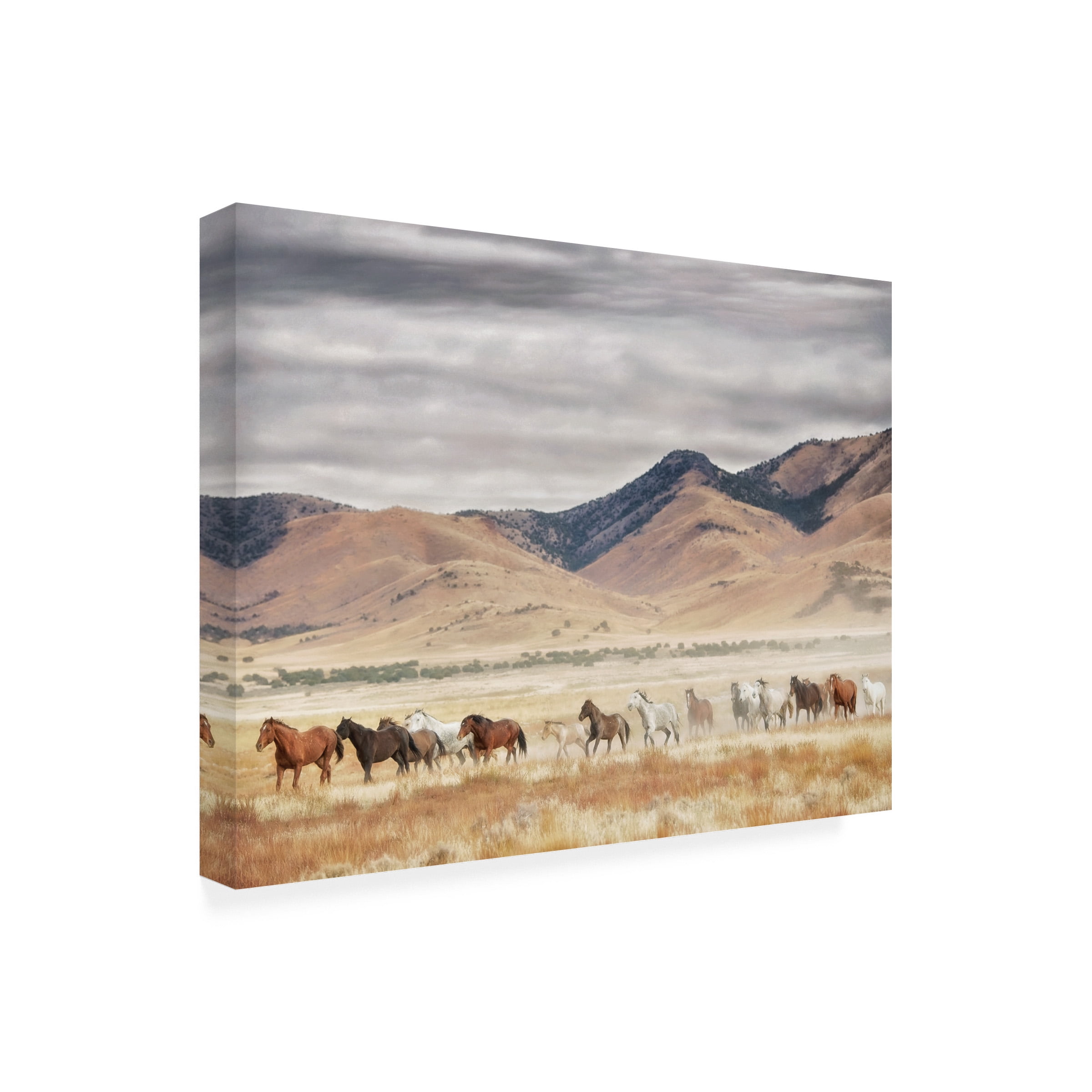 PHBurchett 'Horse Run II' Canvas Art