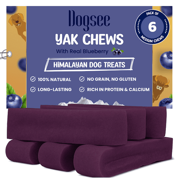 Dogsee Blueberry Flavor Himalayan Yak Cheese Dental Chews for Dogs - (Medium 6)| Dog Treats Healthy | Cleans Teeth & Freshens Breath | No Grain, No Gluten | Dog Chews Rawhide Free