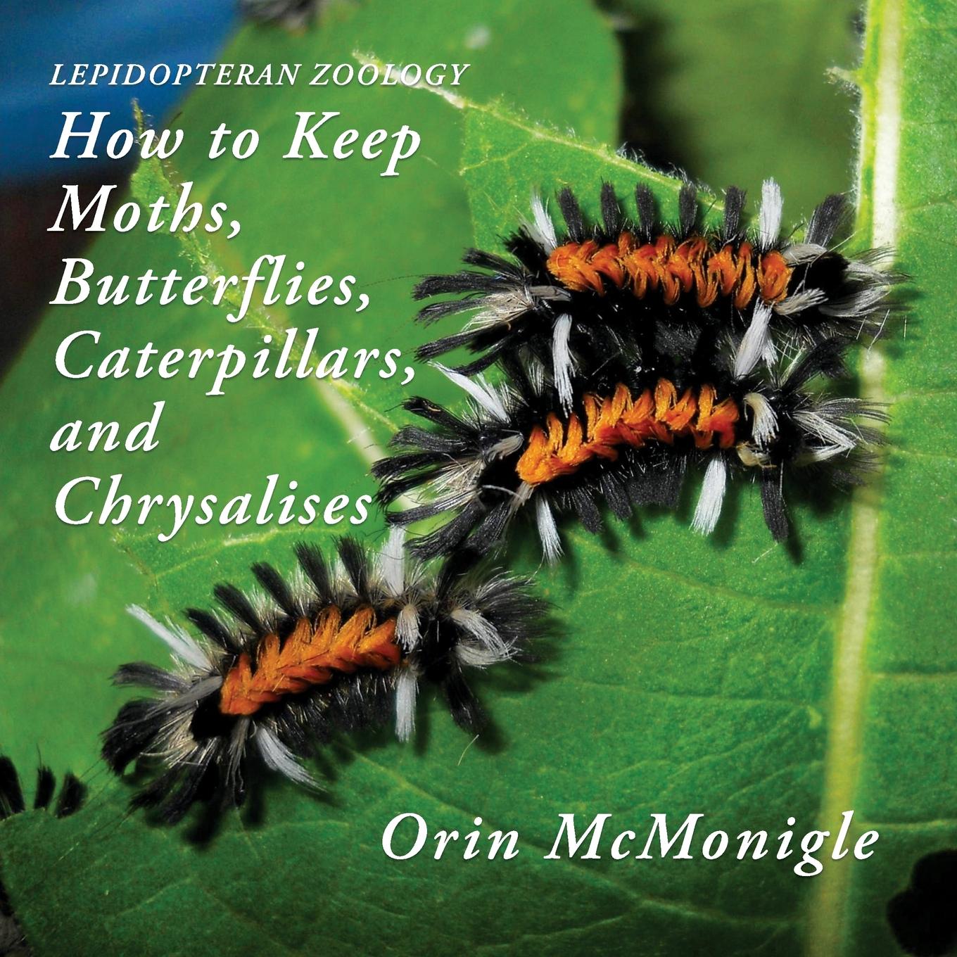 Lepidopteran Zoology How to Keep Moths, Butterflies, Caterpillars