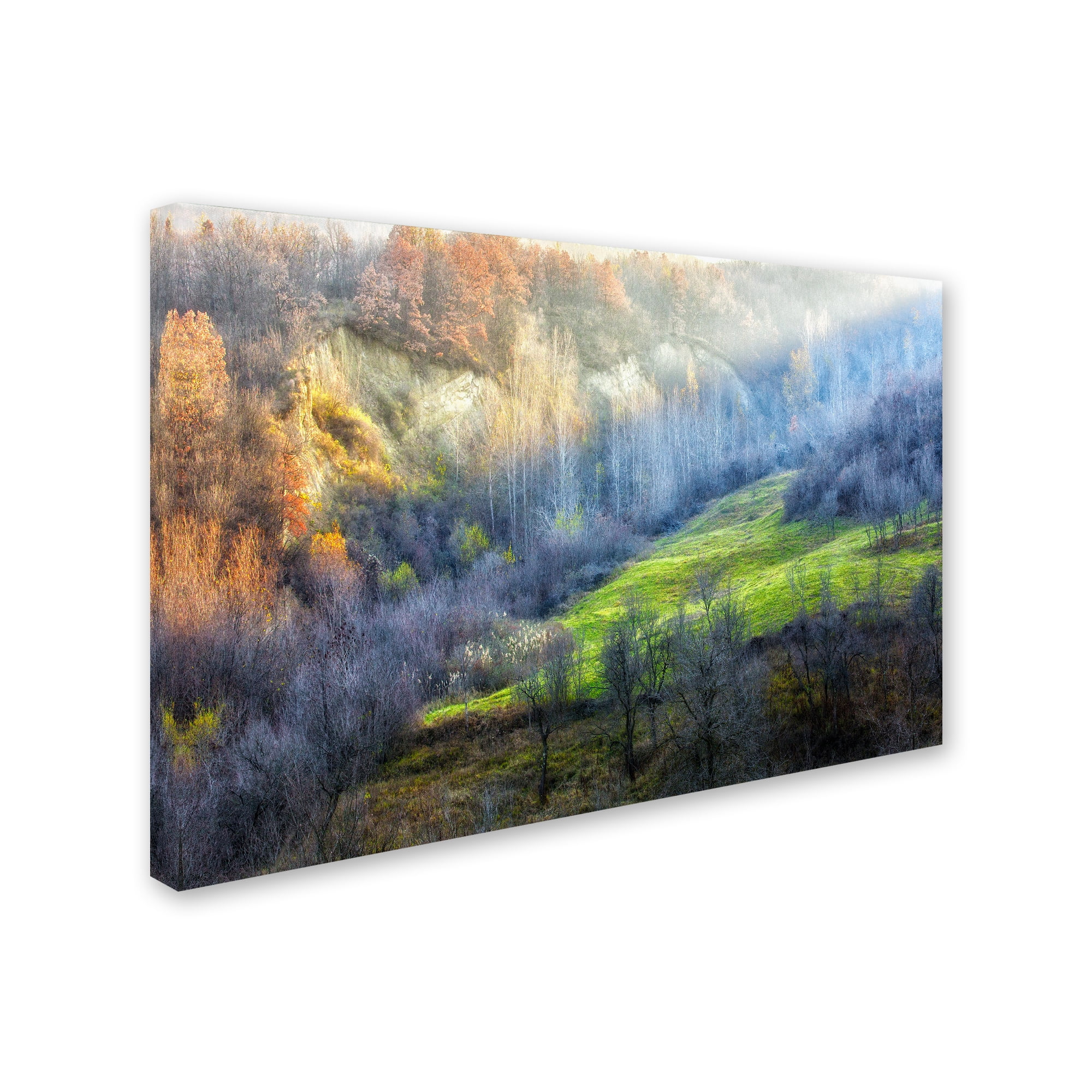 Adrian Popan 'November Colors' Canvas Art