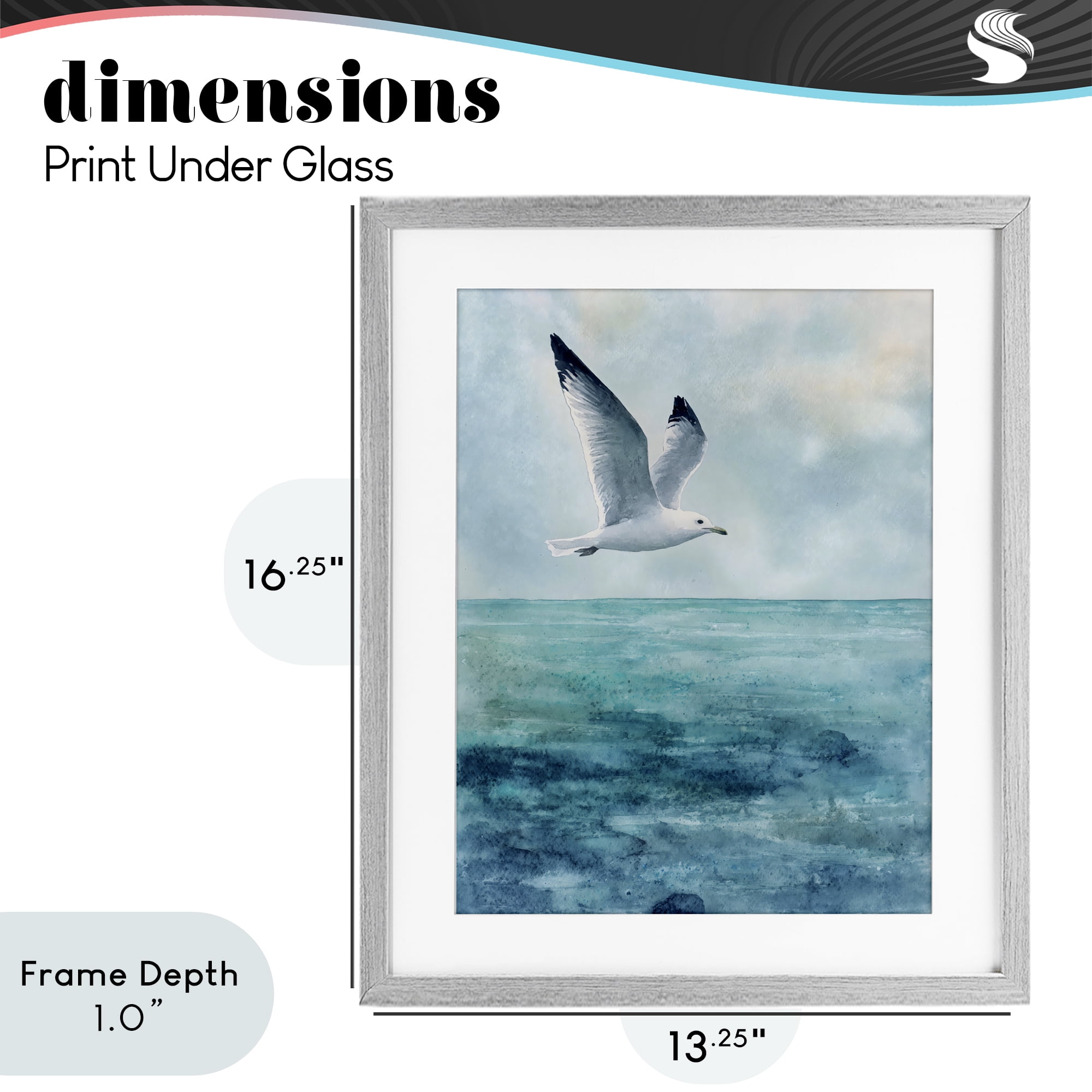 Stupell Industries Seagull With Black Tips Gray Framed Print Under Glass, design by Franklyn Gregory