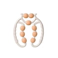 thumbnail image 4 of Birdeem Rouleau pour Muscles, Rouleau Relaxant Musculaire, 4 of 7