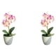 thumbnail image 1 of Plantas artificiales no tóxicas Bearachild 2Conjunto Rosa, 1 of 6