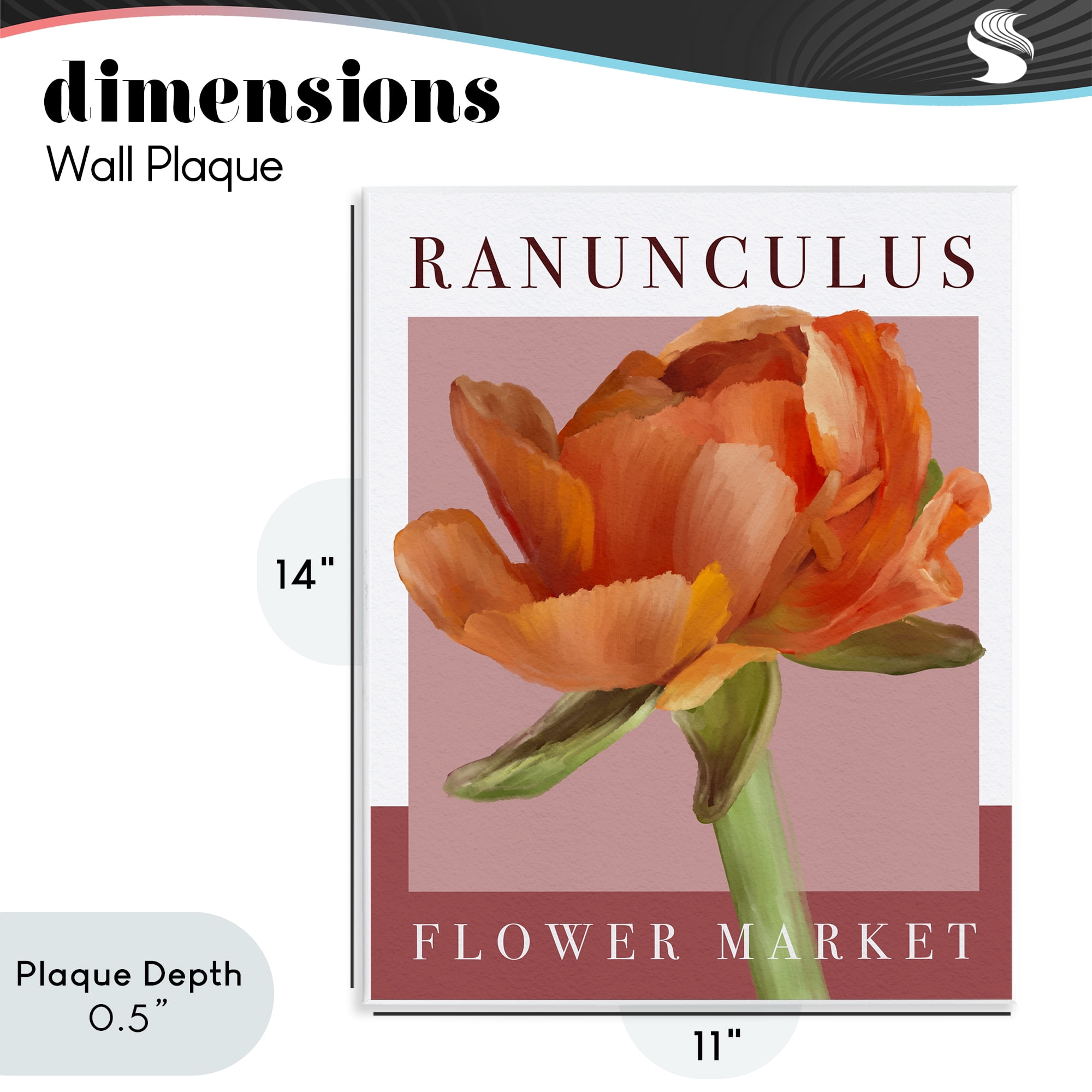 Stupell Industries Ranunculus Flower Market Wall Plaque Art, design by Jennifer Stith