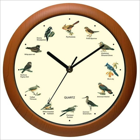 Benail Singing Bird Wall Clock 12 Inch of The Bird Names and Songs New 12 inch