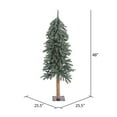 thumbnail image 2 of Vickerman 4' Natural Bark Alpine Artificial Christmas Tree Unlit, 2 of 2