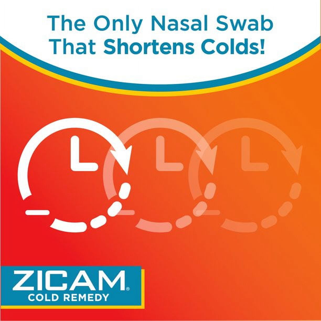 Zicam Allergy Relief Nasal Spray 0.50 oz (Pack of 6)