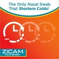thumbnail image 3 of Zicam Allergy Relief Nasal Spray 0.50 oz (Pack of 6), 3 of 5