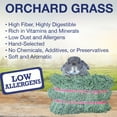 thumbnail image 2 of Grandpa's Best Orchard Grass Hay Mini Bale for Small Animals - 40 oz, 2 of 6