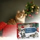 thumbnail image 5 of Set De Juguetes Navideños Para Gatos Para La Cuenta Atrás. Lleve Alegría A Su Gato., 5 of 5