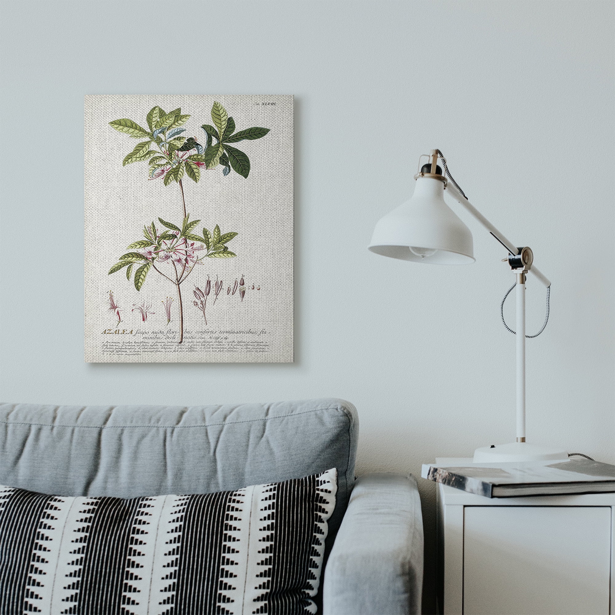 Stupell Industries Botanical Plant Illustration Pink Flowers Vintage Design Canvas Wall Art by Unknown