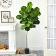 thumbnail image 3 of Nearly Natural 5.5' Fiddle Leaf Artificial Tree, Green, 3 of 3