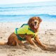 thumbnail image 5 of Chaleco salvavidas para perros Outward Hound Standley Performance, 5 of 22