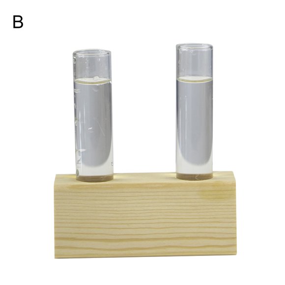 Test Tube Vases