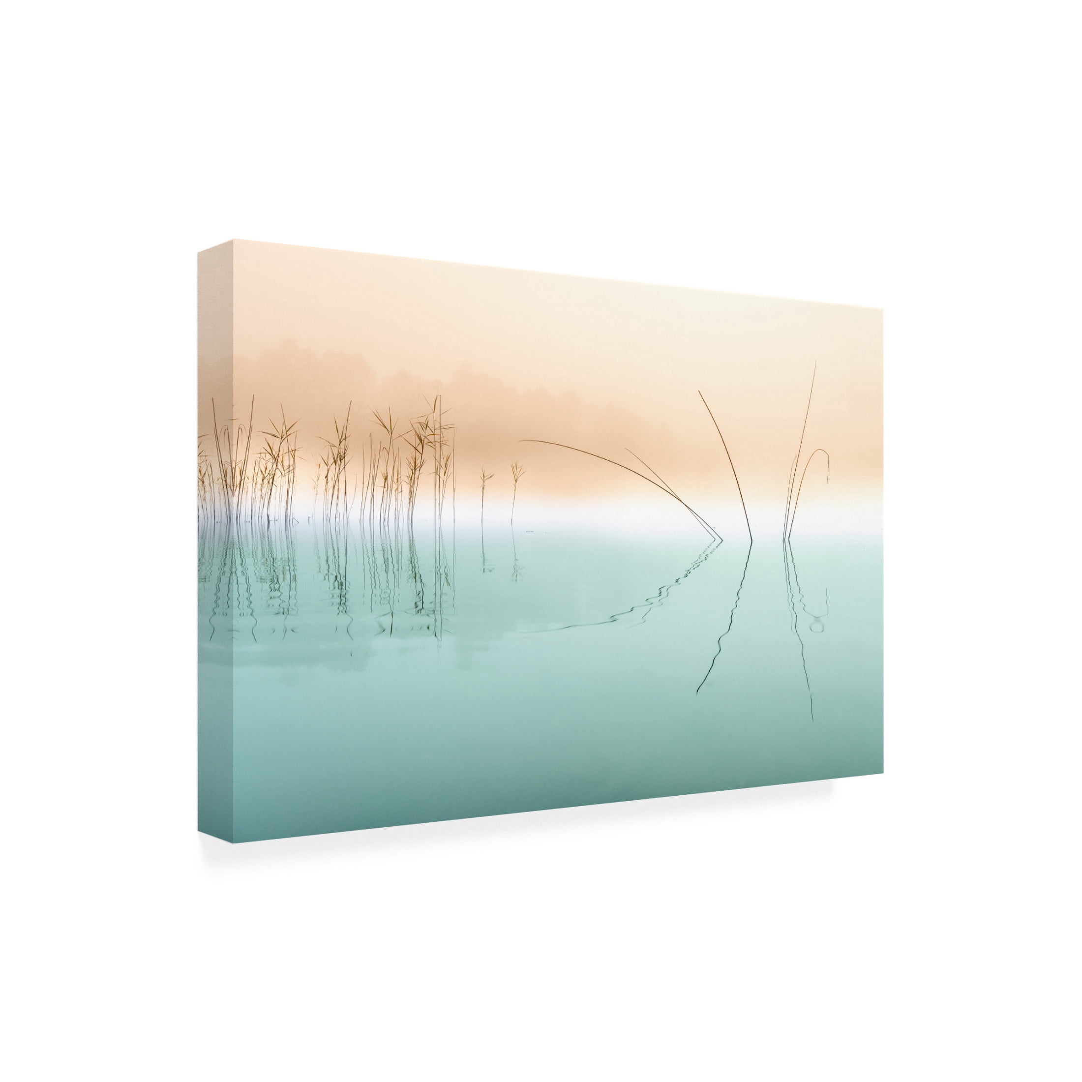 Trademark Fine Art Ulrike Eisenmann Silence Canvas Wall Art