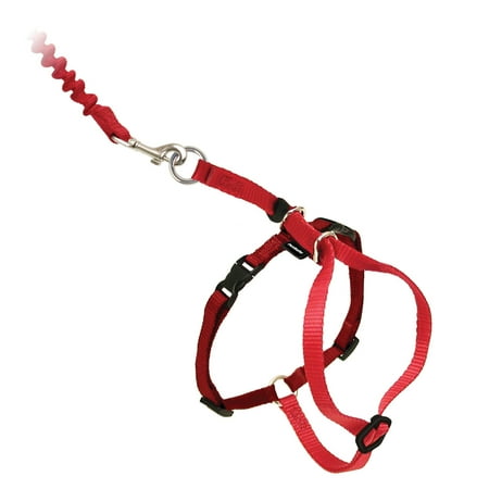 UPC: 0759023076119 | PetSafe Come With Me Kitty Harness and Leash for Cats  Adjustable  Medium  Red