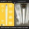 thumbnail image 3 of NuWatt 4FT T8 LED Tube Lights A&B Hybrid 4000K Cool White 18W Plug & Play or Ballast Bypass,G13 30PK, 3 of 9