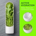 thumbnail image 6 of DEKEones 3 Herb Preservation Boxes - Airtight Storage for Preserving Fresh Herbs, 6 of 7