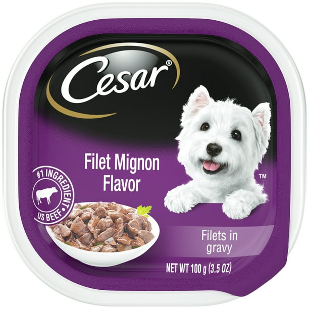 CESAR Wet Dog Food Filets in Gravy Filet Mignon Flavor, 3.5 oz. Easy