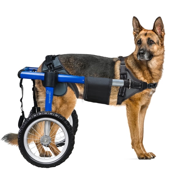 Silla de ruedas para mascotas Virbraroo ligera y ajustable para perros