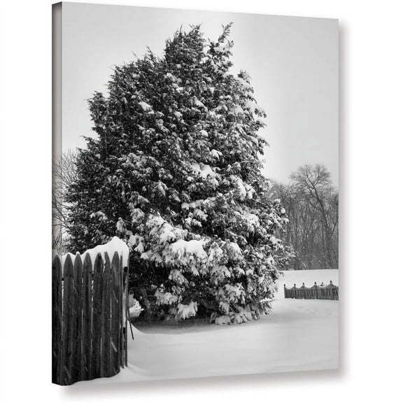 ArtWall Steven Ainsworth "Winter's Silence" Gallery-wrapped Canvas