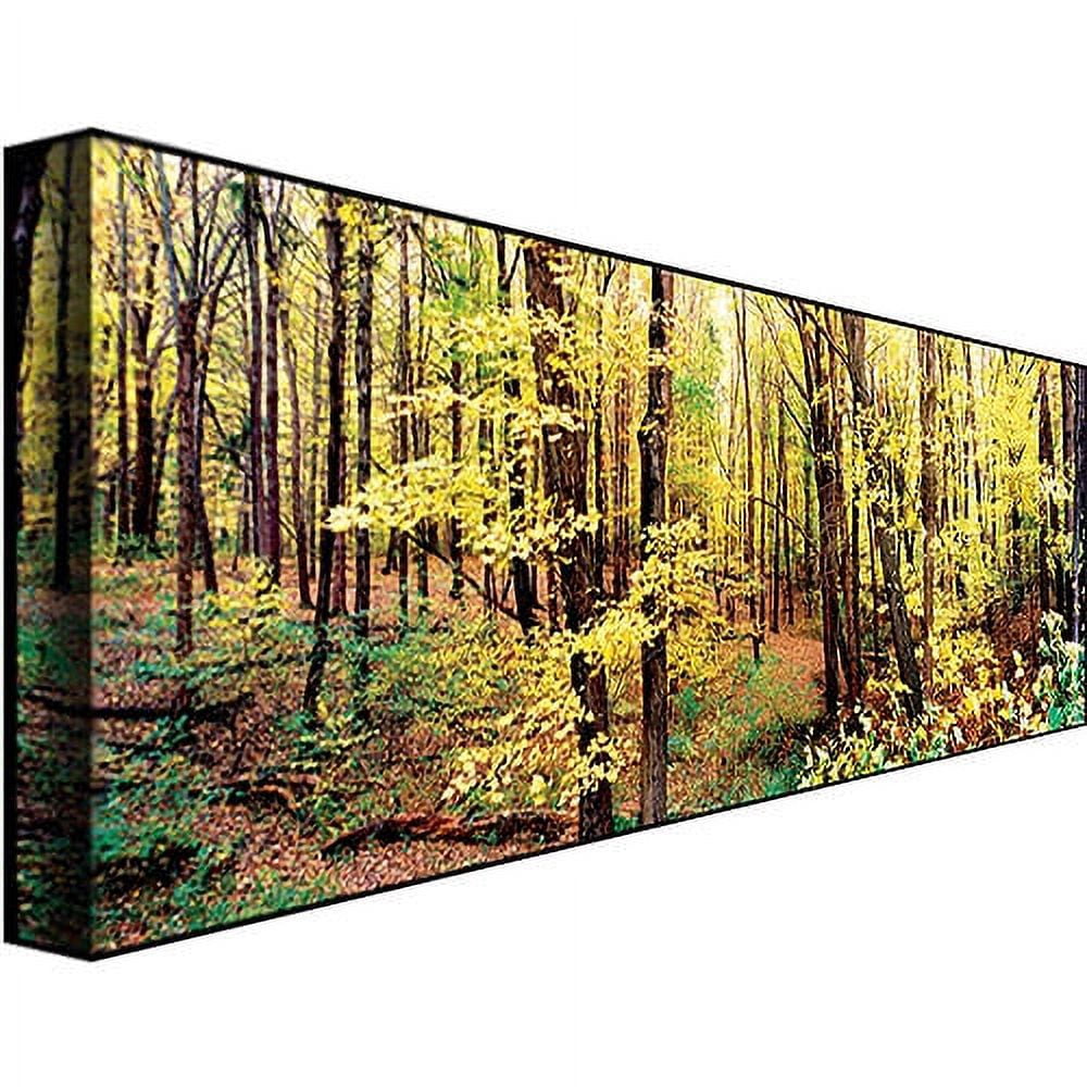 Trademark Art "Trees" Canvas Art by Preston