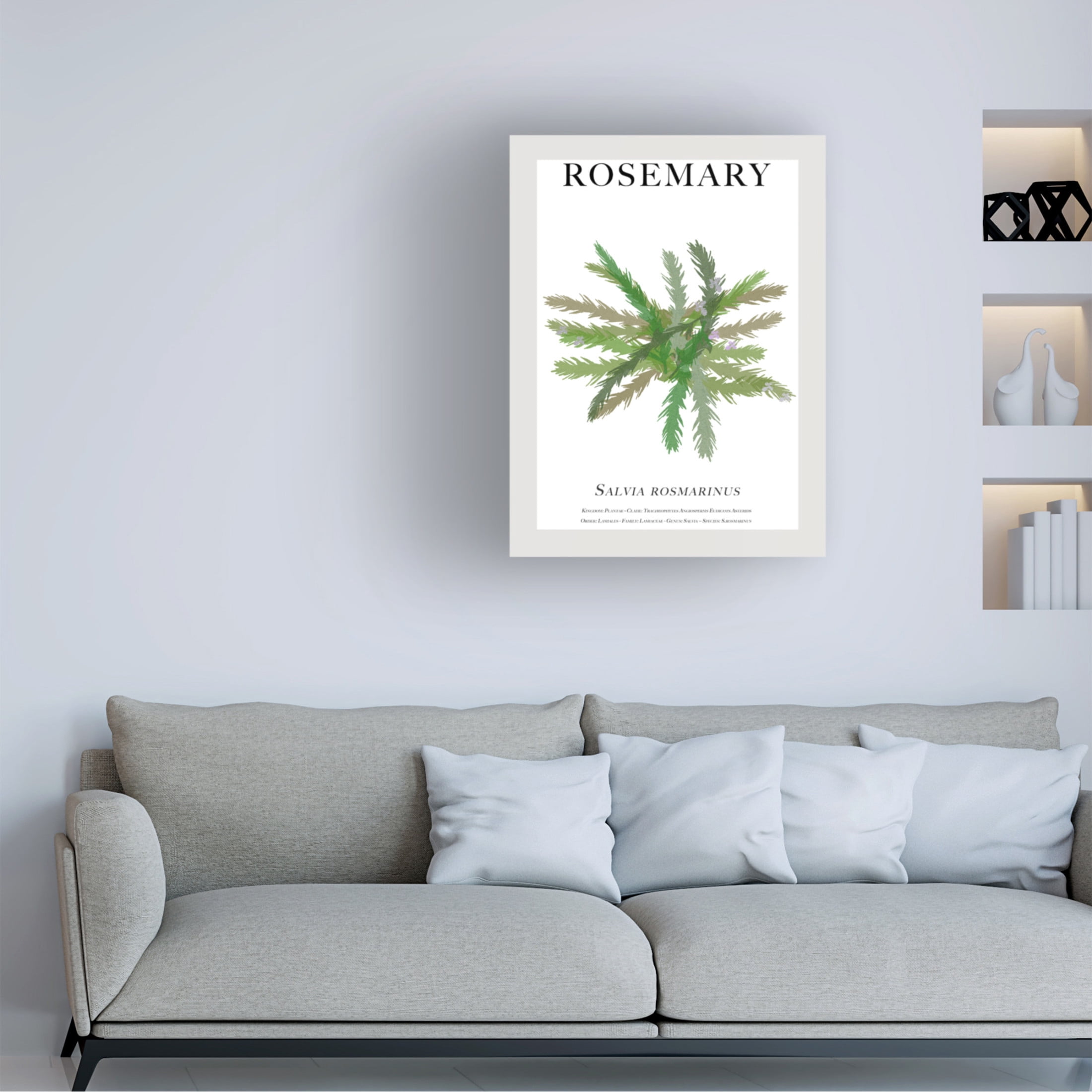 Trademark Fine Art Cartissi Rosemary Canvas Wall Art