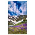 thumbnail image 2 of Spring Blooming Crocus Flowers - Landscape Canvas Art Print, 2 of 3