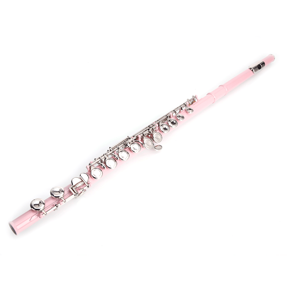 Tcbosik Holes Concert C Flute with Case, Cloth, Screwdriver, Lubricant and Cleaning Rod, Beginner Musical Instrument, Pink