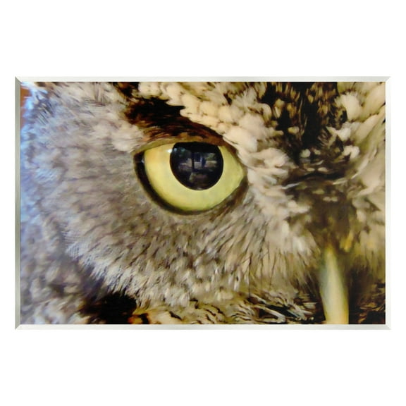 Stupell Industries Owl Eye Close Up Wildlife Animals & Insects Painting Unframed Art Print Wall Art