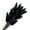Black, variant on Dried Bunny Tail Grass Stems for Modern Home Decoration and Floral Arrangements, 23.5 Inches - Fuchsia