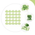 thumbnail image 1 of YSNOOWE 300Ud Dijes Acrílicos En Forma De Claro Para Pendientes Y Collares, 1 of 8