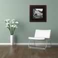 thumbnail image 3 of Trademark Fine Art "Amalfi Pier I" Canvas Art by Alan Blaustein, Black Matte, Wood Frame, 3 of 4