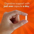 thumbnail image 2 of Probiotic Align Probiotic para la salud digestiva 28 cápsulas, 2 of 5