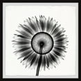 thumbnail image 2 of Marmont Hill Sunflower Petals Framed Painting Print, 2 of 5