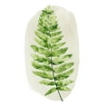 thumbnail image 2 of Popp, Grace 13x18 White Modern Wood Framed Museum Art Print Titled - Spot Fern III, 2 of 4