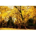 thumbnail image 2 of Alan Hausenflock 32x23 Gallery Wrapped Canvas Wall Art Titled - Split Rail Fence III, 2 of 4