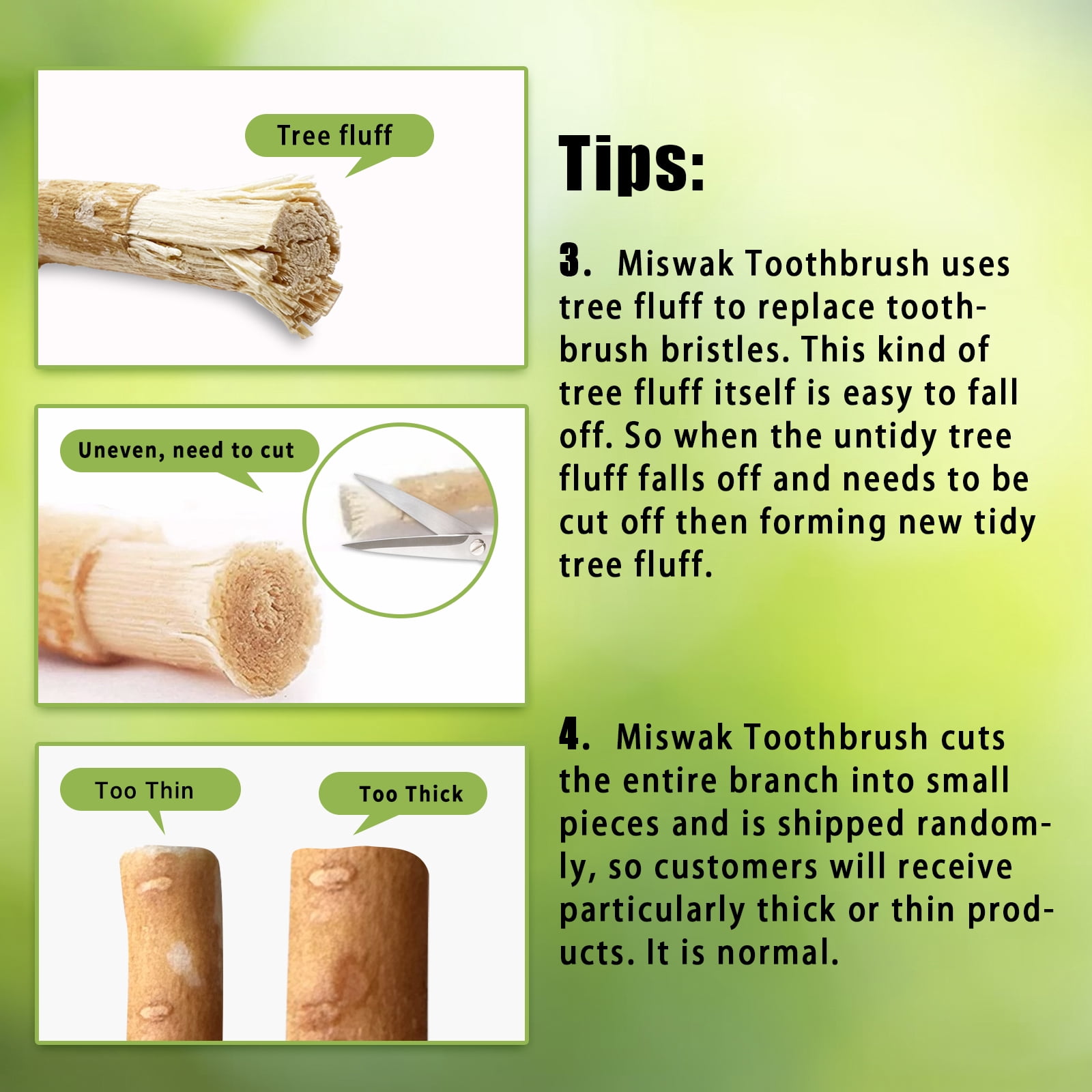 12 Pack Organic Miswak Toothbrushes | All-Natural Wooden Miswak Sticks for Teeth Whitening | Oral Care, Fresh Breath & Eco-Friendly | Original Flavor