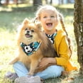 thumbnail image 5 of Football Pack of Two Cat Bandanas, Breathable Chiffon Yarn Pet Collars, Translucent Light Scarf Set - 40.6x40.6x58/16x16x22.8in, 53.3x53.3x76.2/20.9x20.9x30 in, 5 of 5