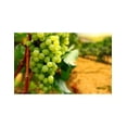 thumbnail image 3 of Pack de 6 Vino Espumoso Riunite Blanco de 750ml Riunite Blanco 750ml, 3 of 3