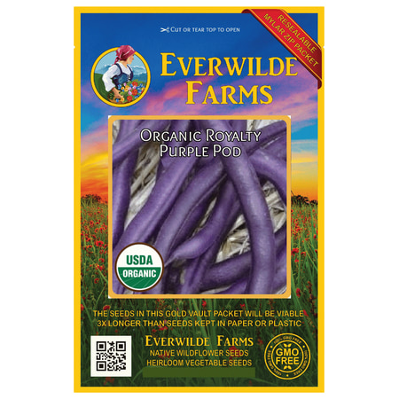 Everwilde Farms - 70 Organic Royalty Purple Pod Green Bush Bean Seeds - Gold Vault Jumbo Bulk Seed