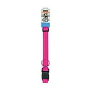 New Petmate 0326167 Collar Pink 5/8inx10-16in,1 Each