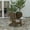 Mahogany, variant on Merrick Lane Poly Resin Folding Adirondack Lounge Chair - All-Weather Indoor/Outdoor Patio Chair in Gray