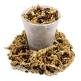 thumbnail image 4 of Premium Sphagnum Moss, Perlite and New Zealand Pine Bark Blend for Carnivorous Plants - Perfect for Venus Fly Traps, Pitcher Plants, Sarracenia, Butterworts, and Sundews - 4 Quart Bag, 4 of 5