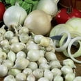 thumbnail image 2 of Mix, Red,Yellow,White,Onion Sets, (40 Bulbs) Garden Vegetable, 2 of 3